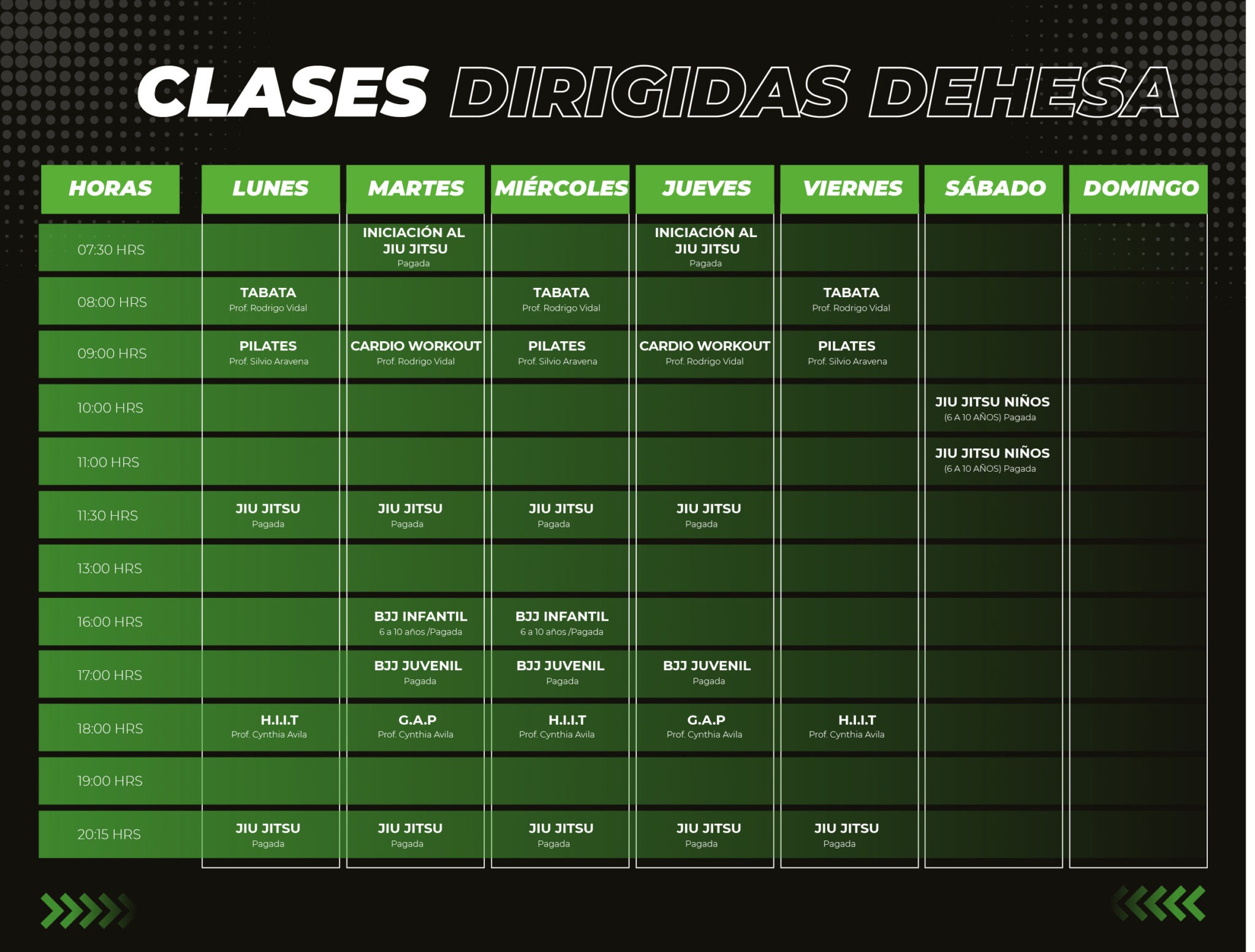 PLANILLA CLASES Mesa de trabajo 1 copia