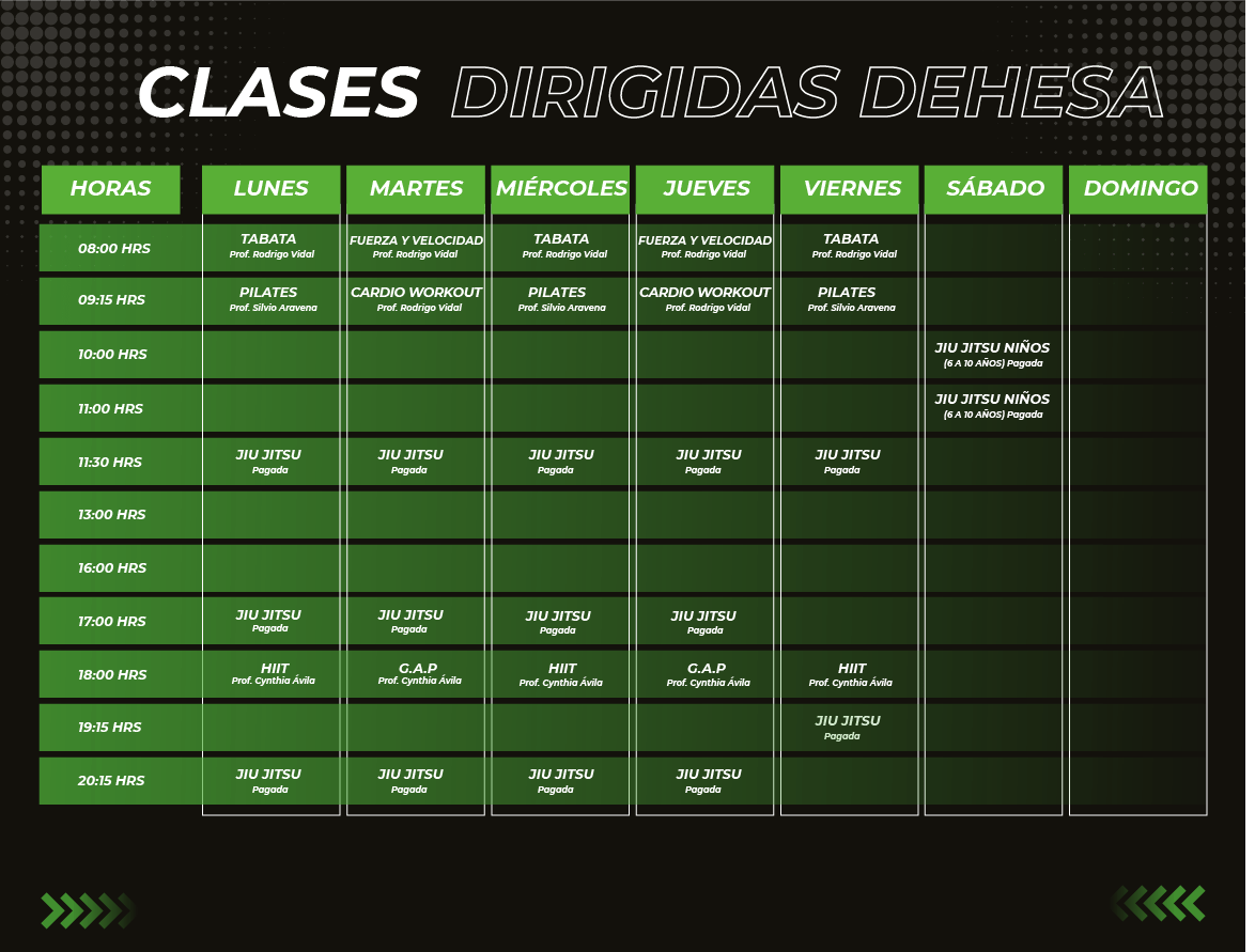 PLANILLA CLASES DEHESA Mesa de trabajo 1 copia