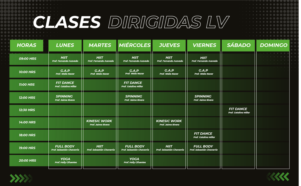 lasvizcachas